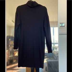 Aritzia Wilfred Sweater Dress